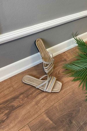 Wendi Vizon Çapraz Taş İşlemeli Kemerli Terlik 