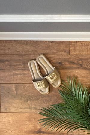 Daglıs Vizon Dikdörtgen Plastik Tokalı Tek Bantlı Terlik  