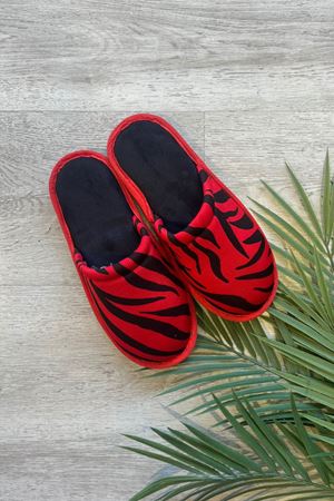 Alice Kırmızı Siyah Zebra Desenli Ev Terliği 