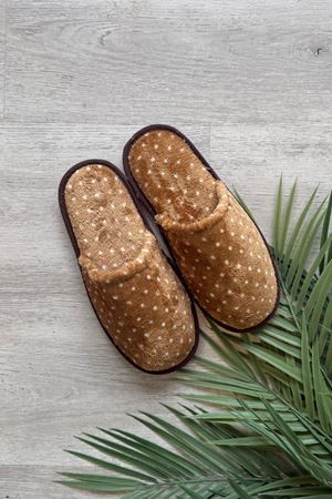 Alice Taba Mini Beyaz Puantiye Desenli Ev Terliği